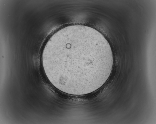 X0000087010632200705071526