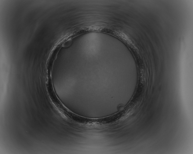 X0000087010634200705071526