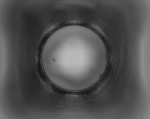 X0000087010635200705071526