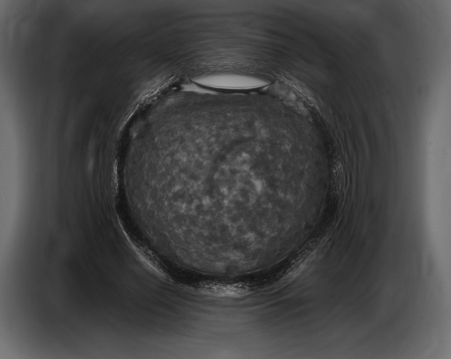 X0000087010638200705071526