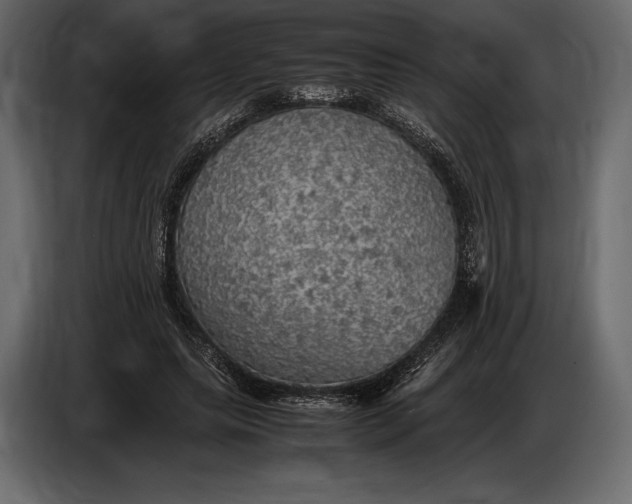 X0000087010639200705071527