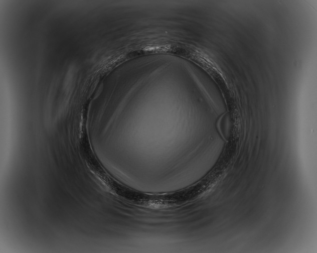 X0000087010641200705071527