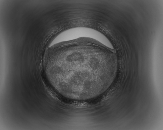 X0000087010642200705071527