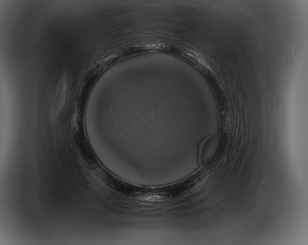 X0000087010643200705071527