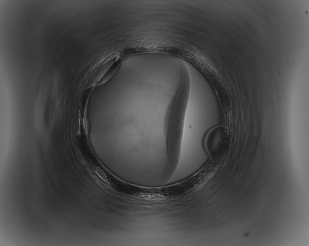 X0000087010644200705071527