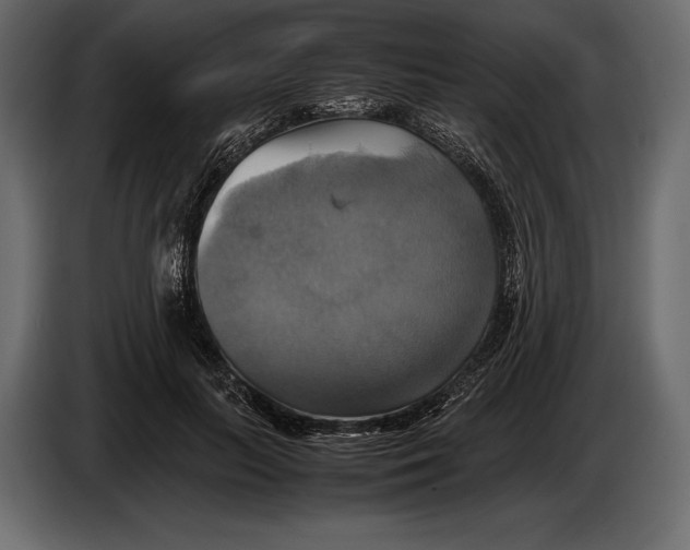 X0000087010647200705071527