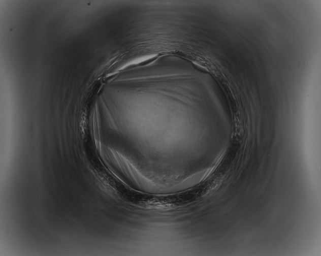 X0000087010648200705071527