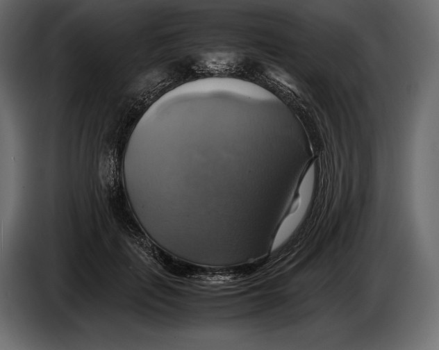 X0000087010651200705071527