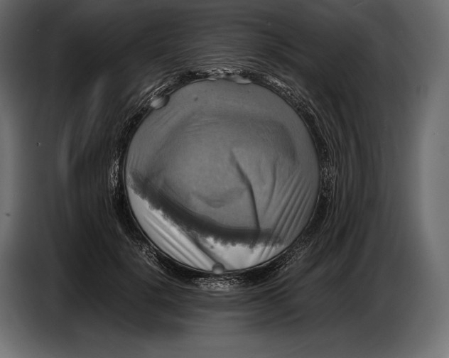 X0000087010652200705071527