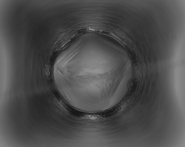 X0000087010654200705071527