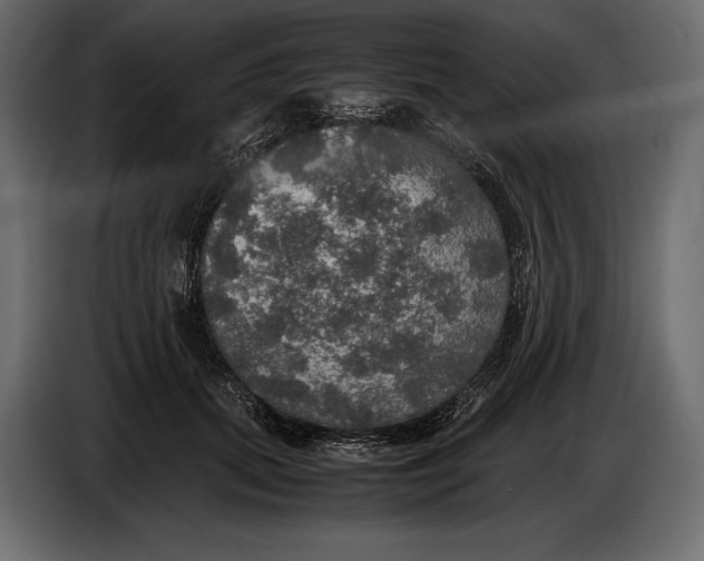 X0000087010655200705071527