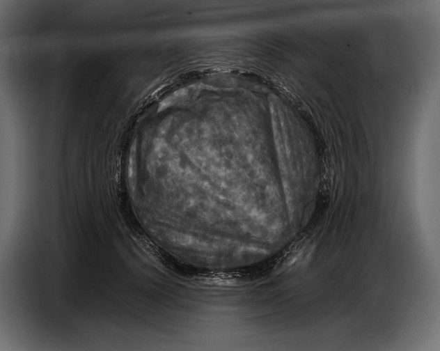 X0000087010656200705071527