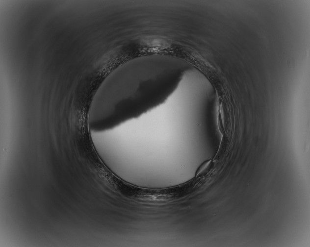 X0000087010657200705071527