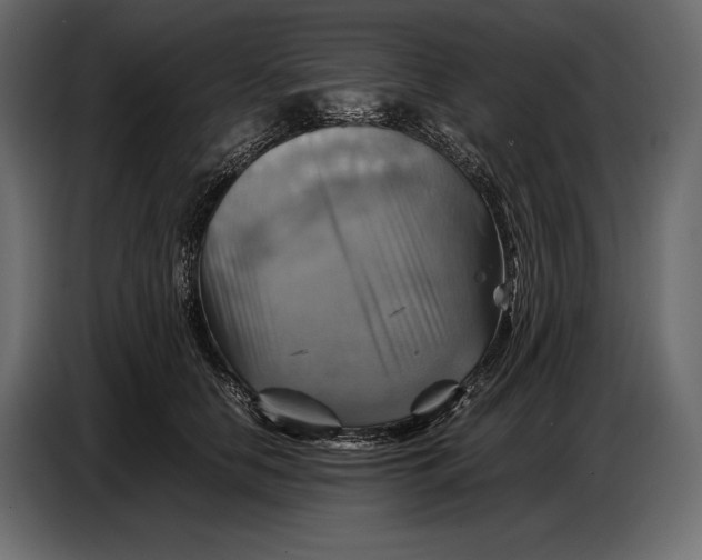 X0000087010658200705071527