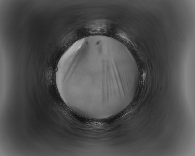 X0000087010659200705071527