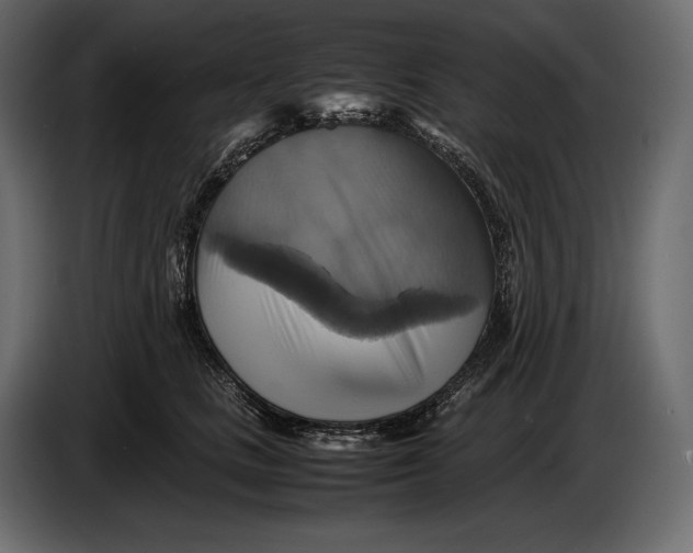 X0000087010661200705071527