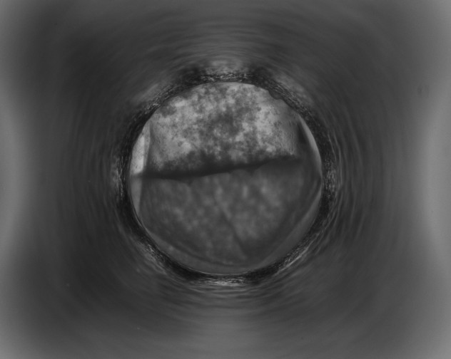 X0000087010662200705071527