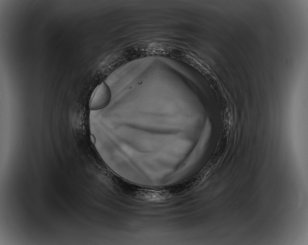 X0000087010663200705071527