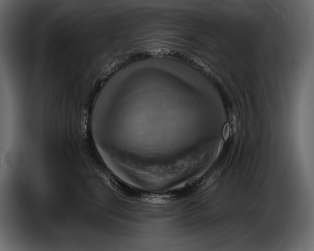 X0000087010664200705071527