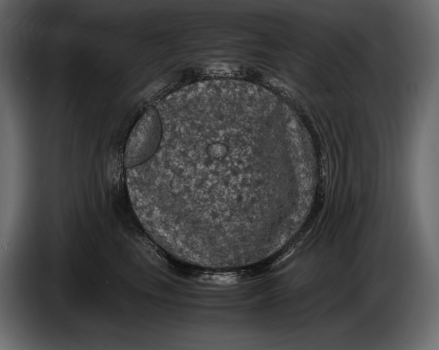 X0000087010665200705071527