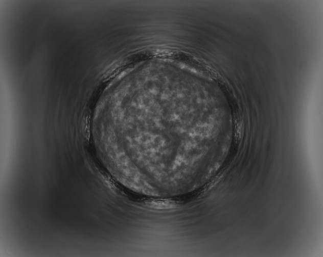 X0000087010666200705071527