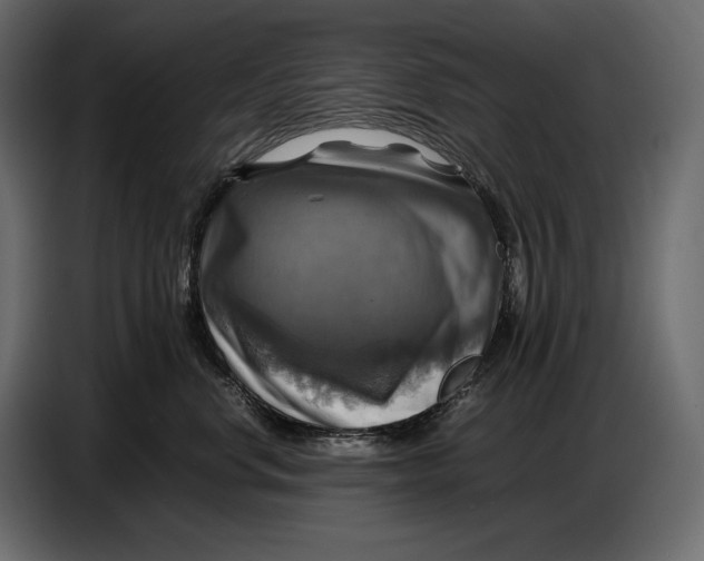 X0000087010668200705071527