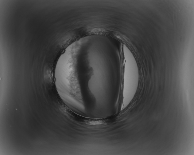 X0000087010669200705071527