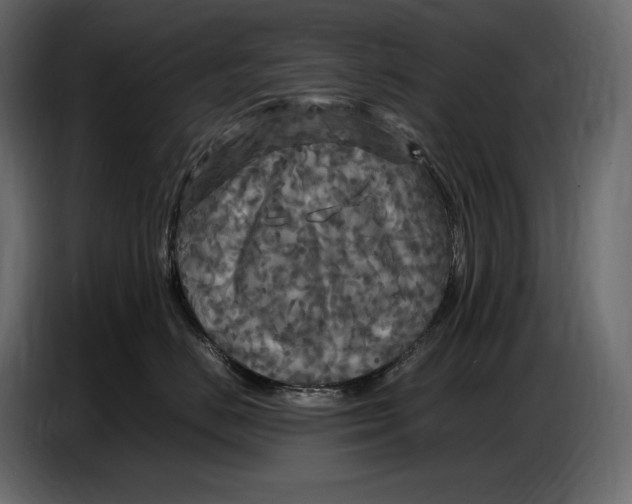 X0000087010670200705071527