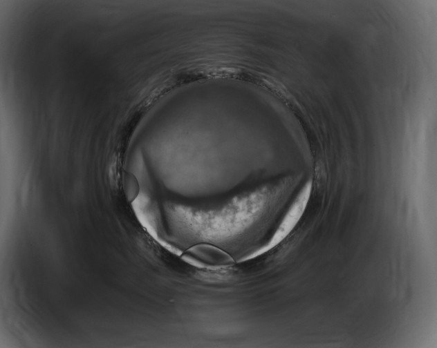 X0000087010671200705071527