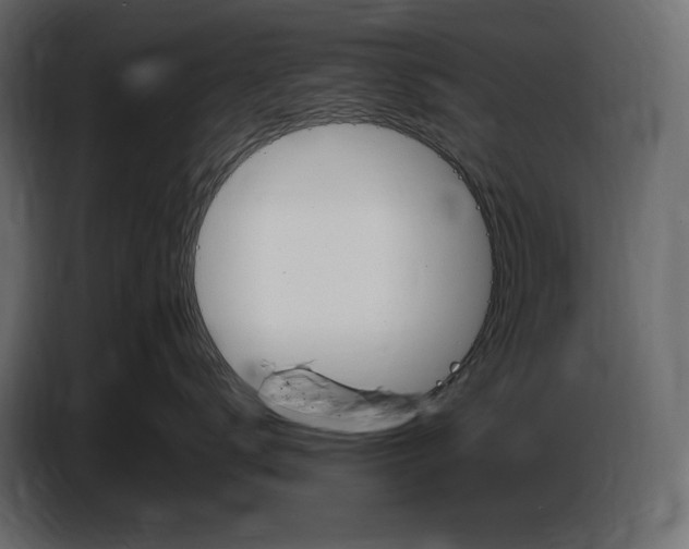 X0000087010672200705071527