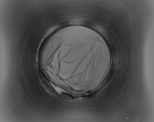 X0000087010674200705071526