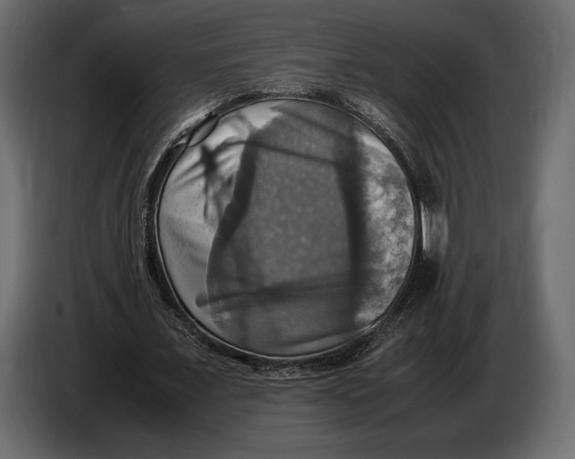 X0000087010675200705071526