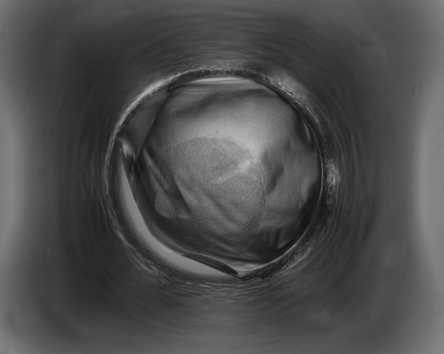 X0000087010676200705071526