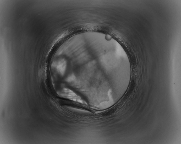 X0000087010679200705071526