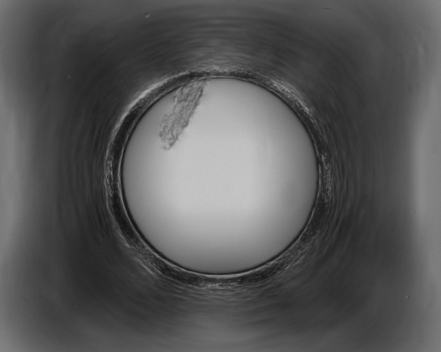 X0000087010680200705071526