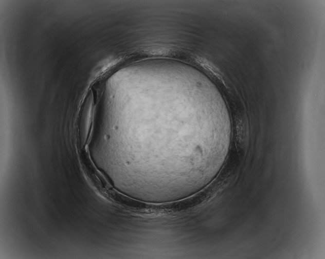 X0000087010682200705071526