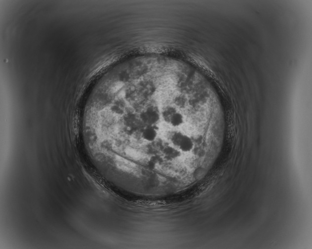 X0000087010683200705071526