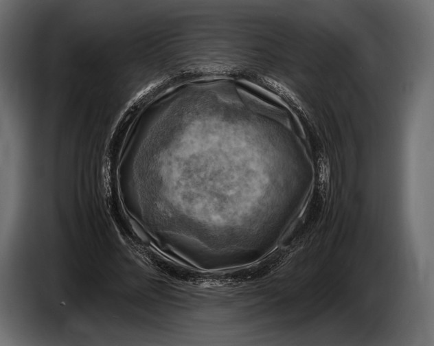 X0000087010684200705071526