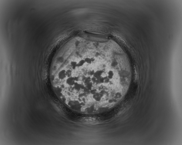 X0000087010687200705071526