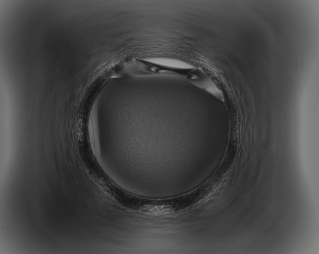 X0000087010689200705071526