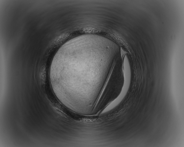 X0000087010690200705071526