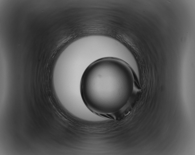 X0000087010692200705071526