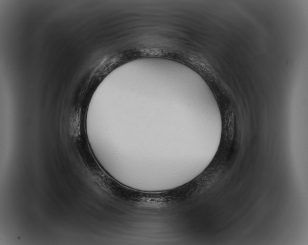 X0000087010694200705071526