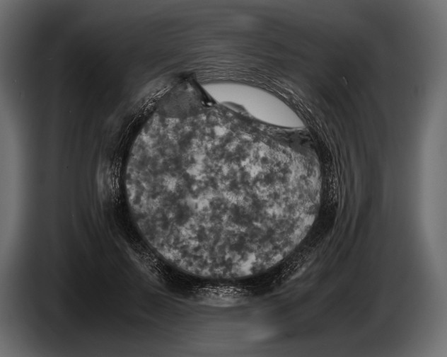 X0000087010695200705071526