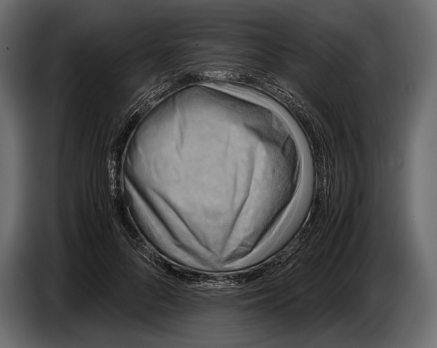 X0000087010696200705071526