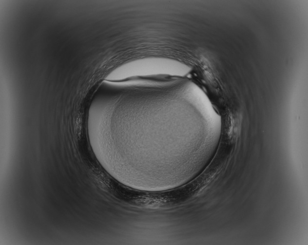 X0000087010697200705071526