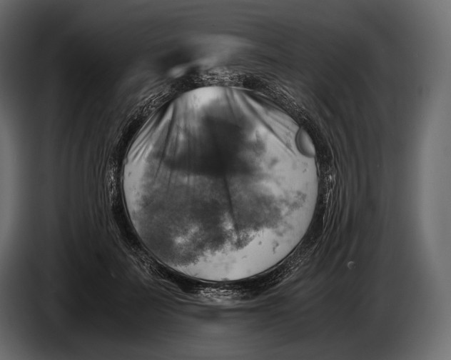 X0000087010699200705071526