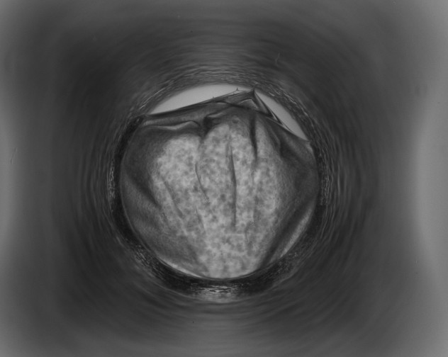 X0000087010700200705071526