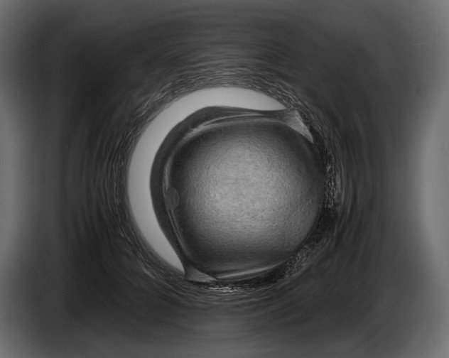 X0000087010704200705071526