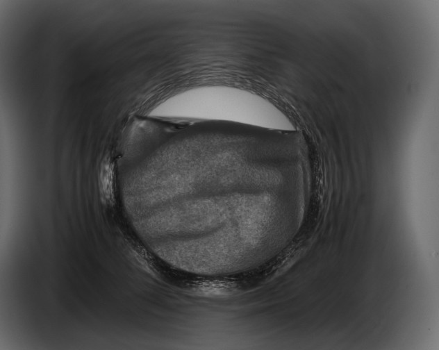 X0000087010708200705071526